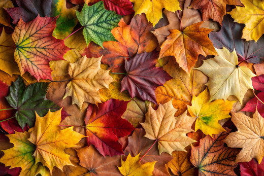 �1757839 �������(a): ����������:4096x2730